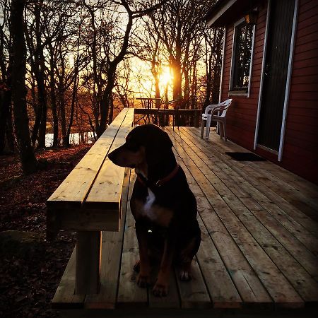 Farm Stay Happy Dogs Ranch Veberod ภายนอก รูปภาพ
