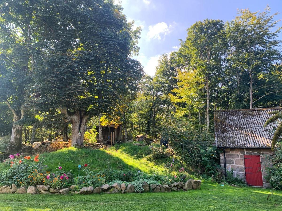 Farm Stay Happy Dogs Ranch Veberod ภายนอก รูปภาพ