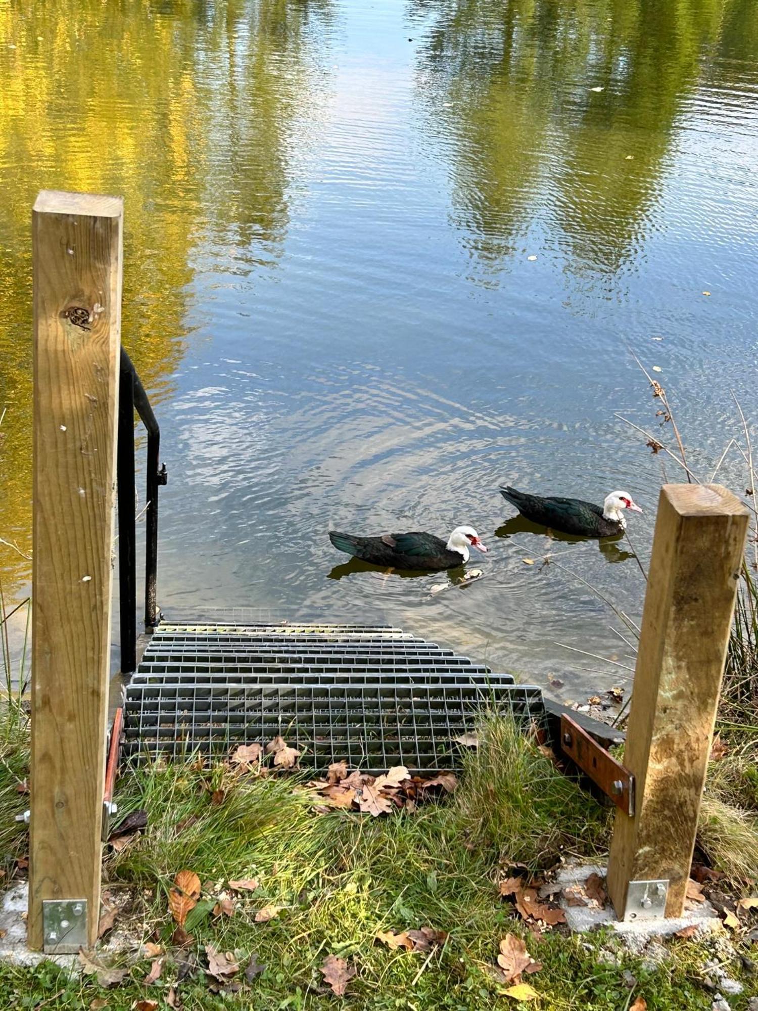 Farm Stay Happy Dogs Ranch Veberod ภายนอก รูปภาพ