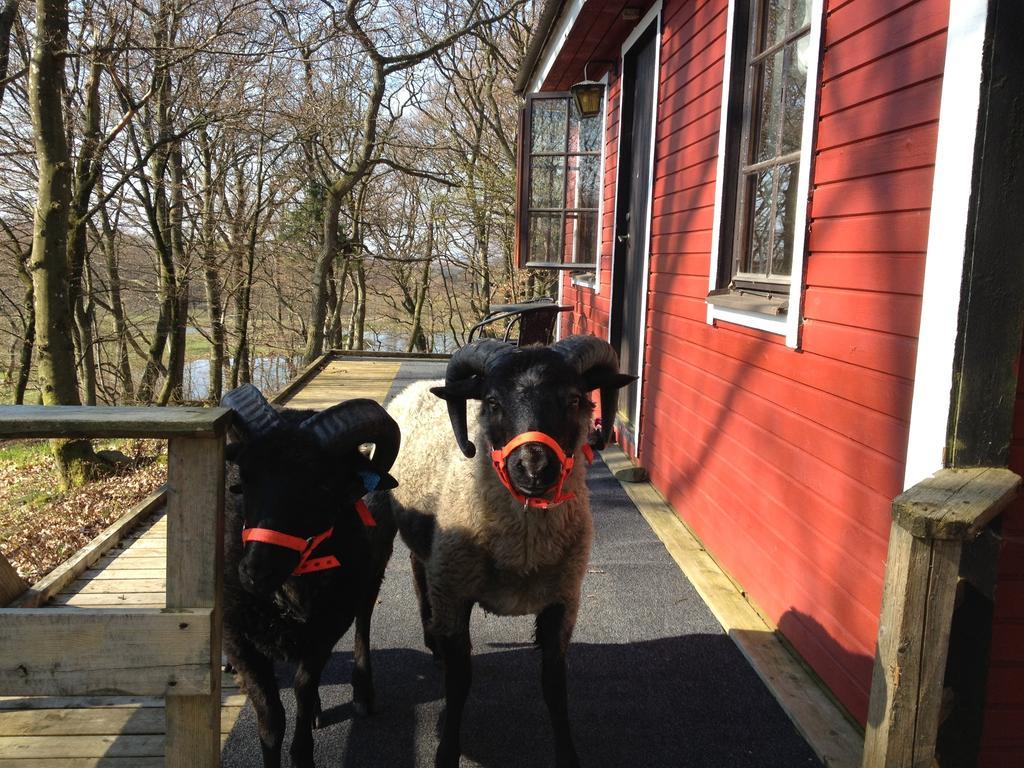 Farm Stay Happy Dogs Ranch Veberod ภายนอก รูปภาพ