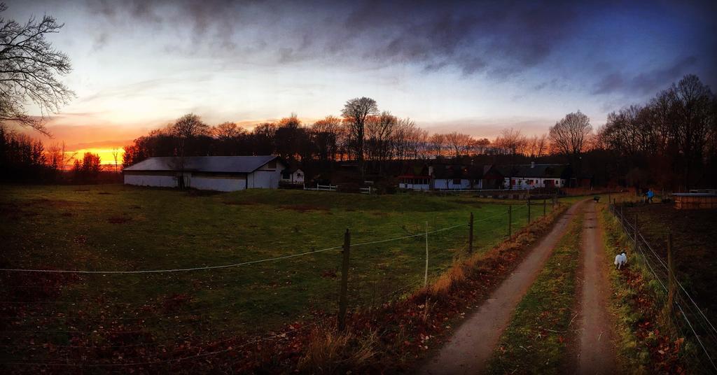 Farm Stay Happy Dogs Ranch Veberod ภายนอก รูปภาพ