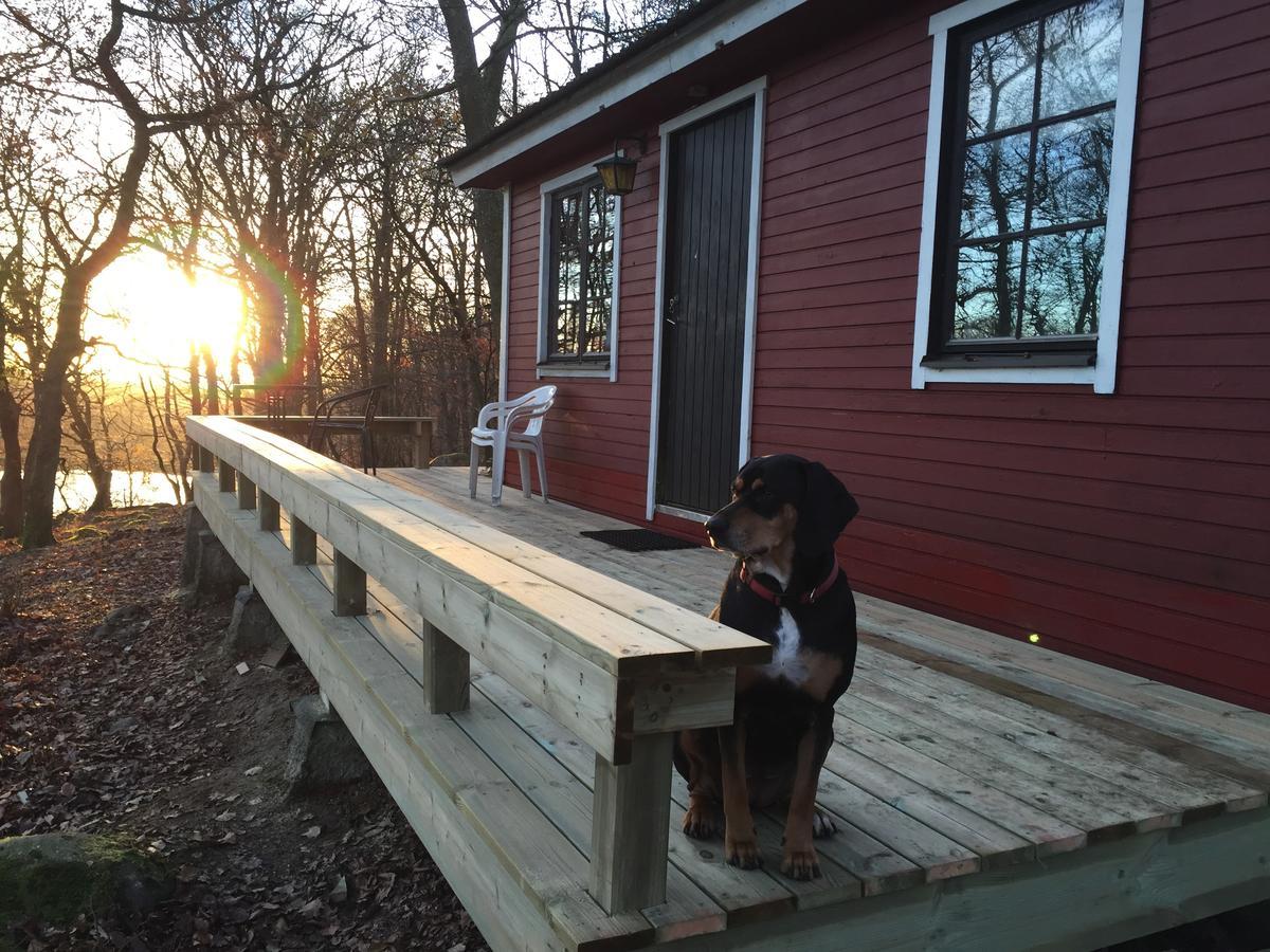 Farm Stay Happy Dogs Ranch Veberod ภายนอก รูปภาพ